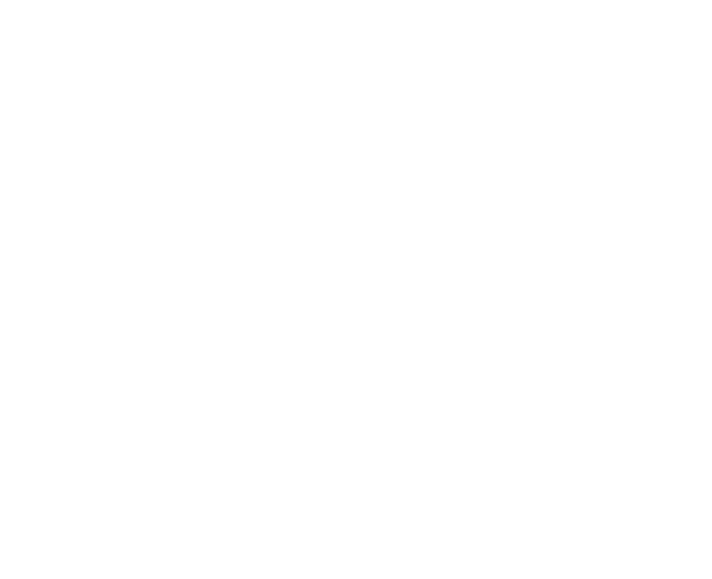 Peak Performance Personal Training Logo - Top-rated personal trainer in Orange County